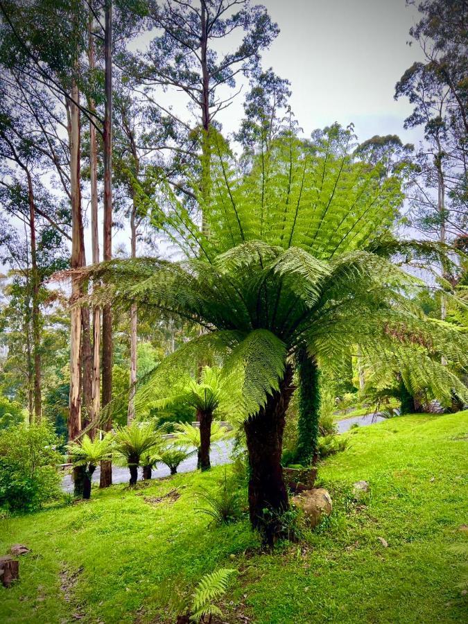 Melbourne Topview Villa In Dandenong Ranges Near Skyhigh Kalorama Buitenkant foto