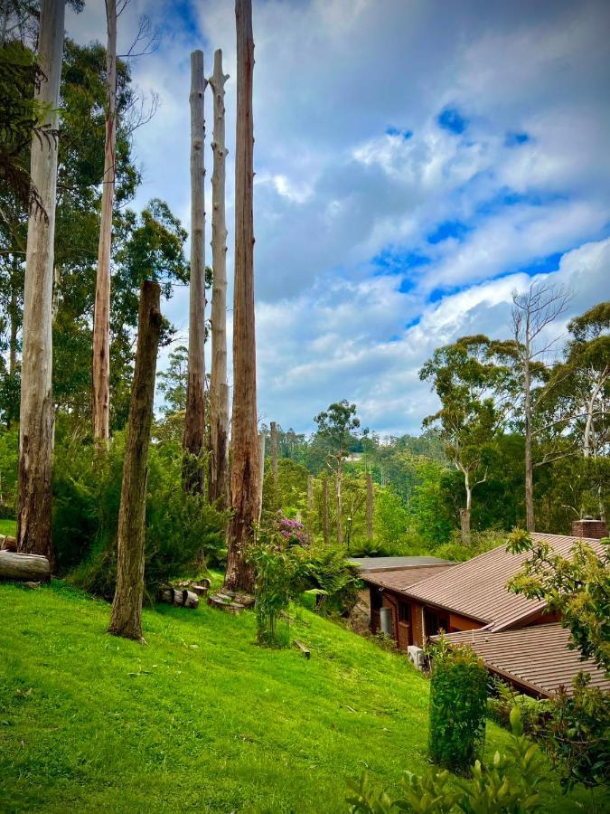 Melbourne Topview Villa In Dandenong Ranges Near Skyhigh Kalorama Buitenkant foto