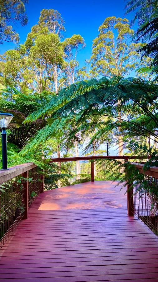 Melbourne Topview Villa In Dandenong Ranges Near Skyhigh Kalorama Buitenkant foto