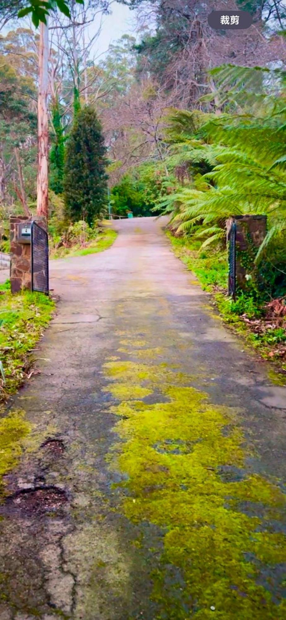 Melbourne Topview Villa In Dandenong Ranges Near Skyhigh Kalorama Buitenkant foto